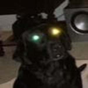 Meet your Posher, Danny